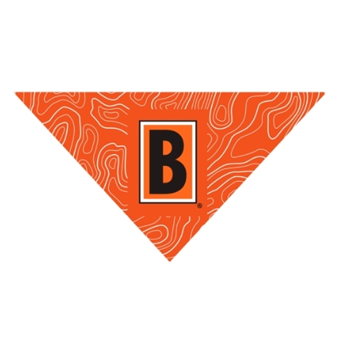 Cleveland Browns Orange Print Cloth Pet Bandana